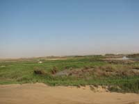 /international/2006Walvisbay/images/DrivingTheTrail/thumbnails/walvis3 110.jpg